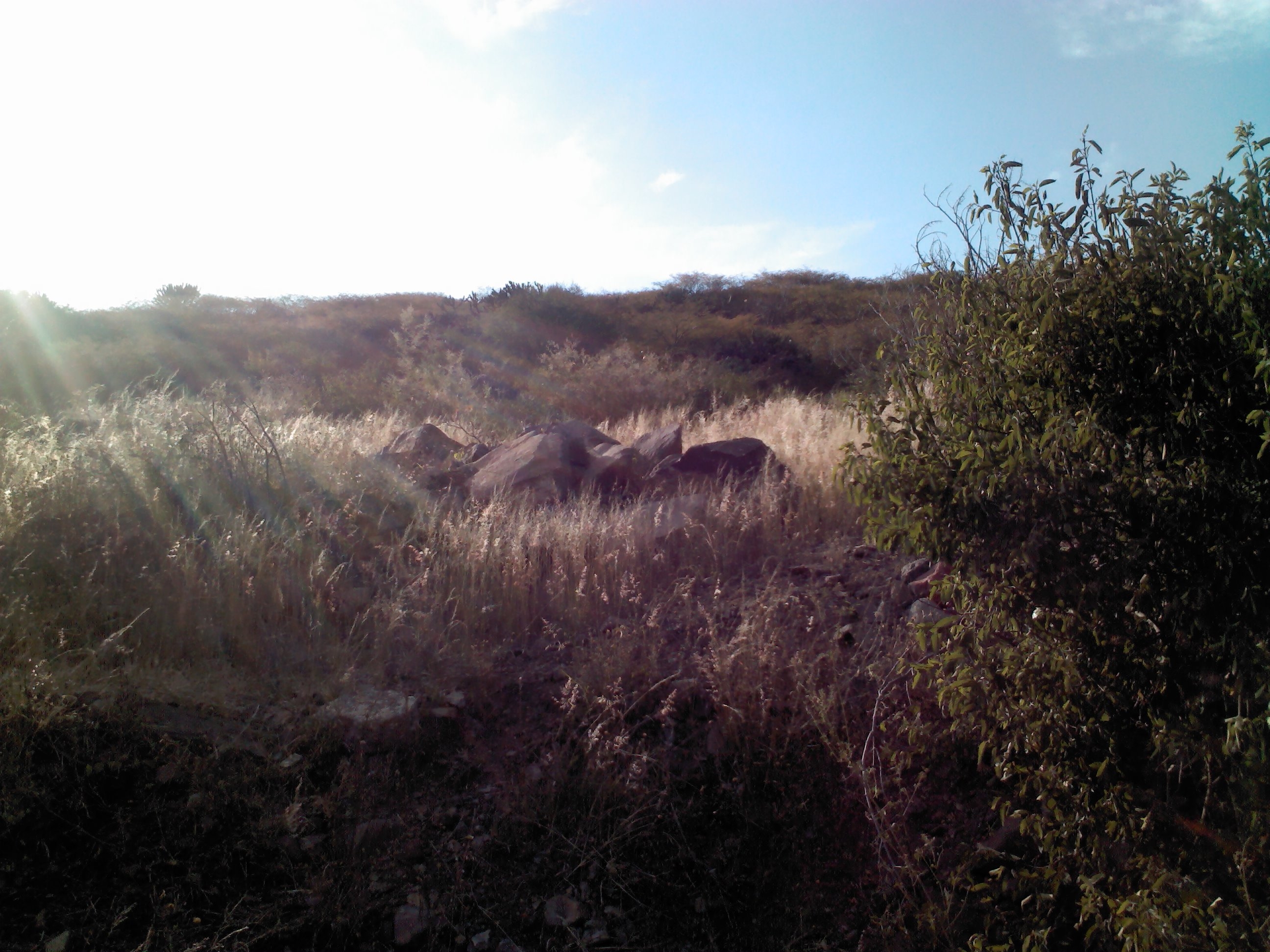 VENDO TERRENO ATRAS DEL PUEBLO DE JURICA, RUSTICO.